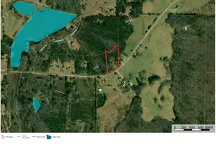 2391 Chalybeate Rd, Manchester, GA 31816 - Photo 1