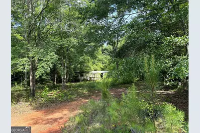 2391 Chalybeate Road, Manchester, GA 31816 - Photo 6