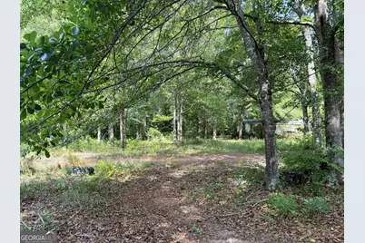 2391 Chalybeate Road, Manchester, GA 31816 - Photo 10