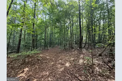 2391 Chalybeate Road, Manchester, GA 31816 - Photo 14