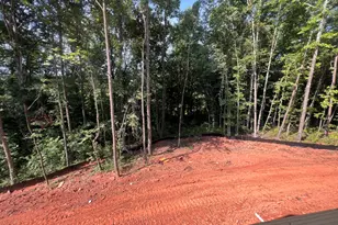 284 Stonington Dr, Mount Airy, GA 30563 - Photo 4