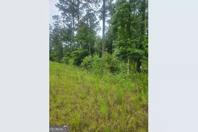 2755 Peeksville, Locust Grove, GA 30248 - Photo 14