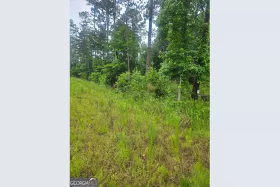 2755 Peeksville, Locust Grove, GA 30248 - Photo 10