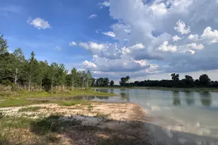 1665 Walke Dairy Rd, Dublin, GA 31021 - Photo 12