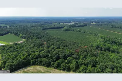 1665 Walke Dairy Road, Dublin, GA 31021 - Photo 36