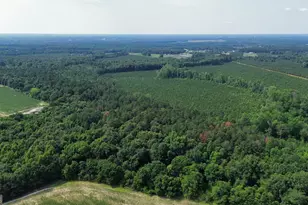 1665 Walke Dairy Rd, Dublin, GA 31021 - Photo 36