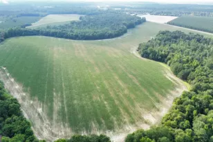 1665 Walke Dairy Rd, Dublin, GA 31021 - Photo 20