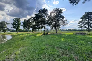 1665 Walke Dairy Rd, Dublin, GA 31021 - Photo 14