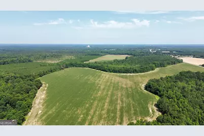 1665 Walke Dairy Road, Dublin, GA 31021 - Photo 42