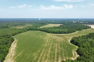1665 Walke Dairy Rd, Dublin, GA 31021 - Photo 42