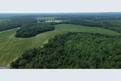 1665 Walke Dairy Road, Dublin, GA 31021 - Photo 32