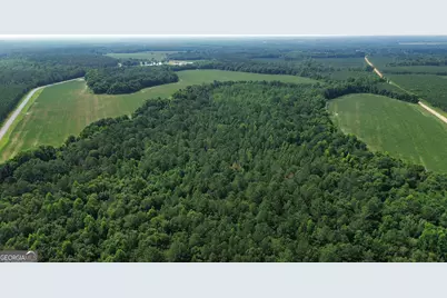 1665 Walke Dairy Road, Dublin, GA 31021 - Photo 30