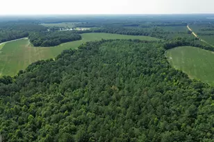 1665 Walke Dairy Rd, Dublin, GA 31021 - Photo 30