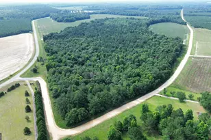 1665 Walke Dairy Rd, Dublin, GA 31021 - Photo 28
