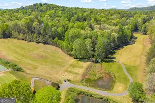 65 Vienna Ring, Helen, GA 30545 - Photo 38