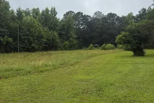 965 Hood Rd, Concord, GA 30206 - Photo 38