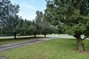 250 County Line Church Rd, Griffin, GA 30223 - Photo 6