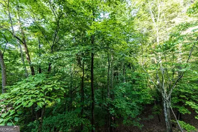 7822 Beachwood Drive, Murrayville, GA 30564 - Photo 90
