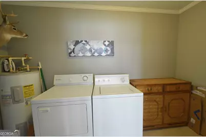 1208 E Chicken Road, Chester, GA 31012 - Photo 12