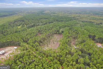 Vacant Lot 2 South Bluff Road, White Oak, GA 31568 - Photo 4