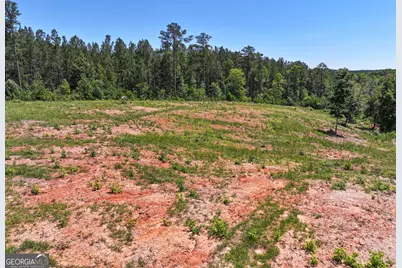 259 Garner Road, Buchanan, GA 30113 - Photo 100