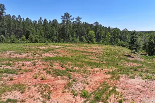 259 Garner Rd, Buchanan, GA 30113 - Photo 100