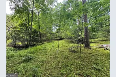 00 Ben Higgins Road, Dahlonega, GA 30533 - Photo 4