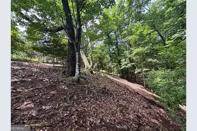 00 Ben Higgins Road, Dahlonega, GA 30533 - Photo 14