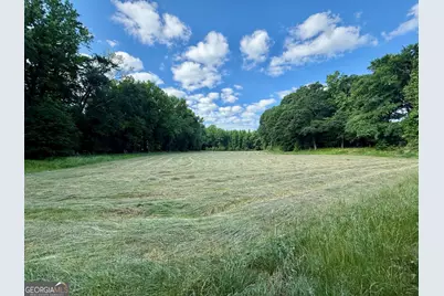 1298 Ray Weaver Road, Canon, GA 30520 - Photo 30