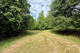 1298 Ray Weaver Rd, Canon, GA 30520 - Photo 38