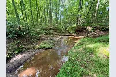 1298 Ray Weaver Road, Canon, GA 30520 - Photo 40