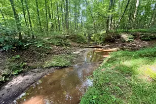 1298 Ray Weaver Rd, Canon, GA 30520 - Photo 40