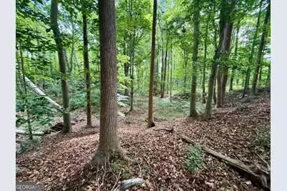 1298 Ray Weaver Road, Canon, GA 30520 - Photo 34
