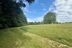 1298 Ray Weaver Rd, Canon, GA 30520 - Photo 32