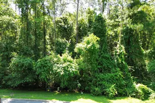 183 Sunrise Dr, Woodbine, GA 31569 - Photo 1
