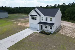 82 Tatum Trl NE, Ludowici, GA 31316 - Photo 42