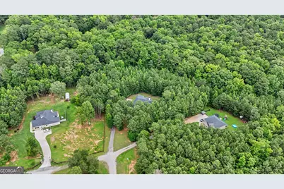 3534 S Highway 29, Moreland, GA 30259 - Photo 46