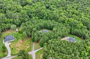 3534 S Hwy 29, Moreland, GA 30259 - Photo 52