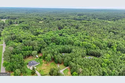 3534 S Highway 29, Moreland, GA 30259 - Photo 2
