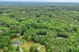 3534 S Hwy 29, Moreland, GA 30259 - Photo 2