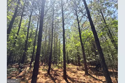 2807 Cedar Creek Rd, Elberton, GA 30635 - Photo 16