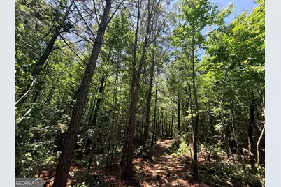2807 Cedar Creek Rd, Elberton, GA 30635 - Photo 48