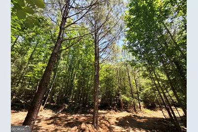 2807 Cedar Creek Rd, Elberton, GA 30635 - Photo 56