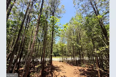 2807 Cedar Creek Rd, Elberton, GA 30635 - Photo 22