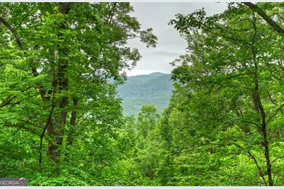 415 Walnut Mountain Road, Ellijay, GA 30536 - Photo 4