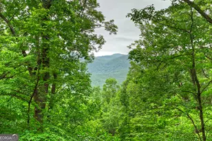415 Walnut Mountain Rd, Ellijay, GA 30536 - Photo 4