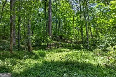 1965 Highway 52 E, Ellijay, GA 30536 - Photo 44