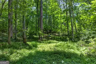 1965 Hwy 52 E, Ellijay, GA 30536 - Photo 44