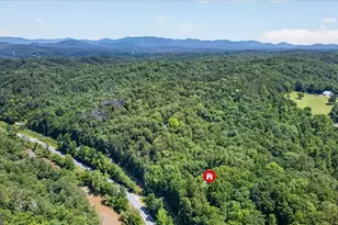 1965 Hwy 52 E, Ellijay, GA 30536 - Photo 54