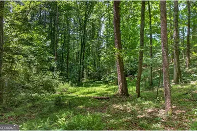 1965 Highway 52 E, Ellijay, GA 30536 - Photo 42